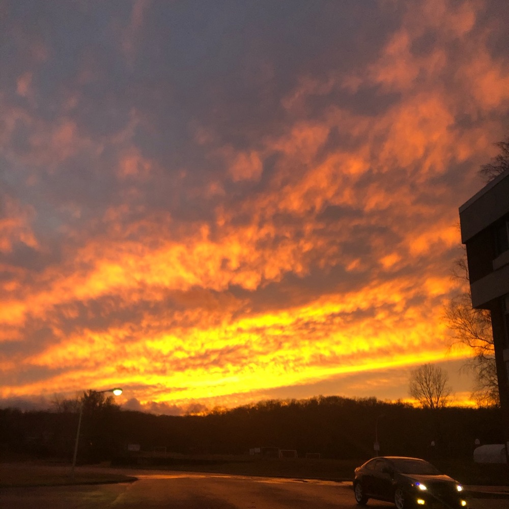 Meet your Posher, Lia